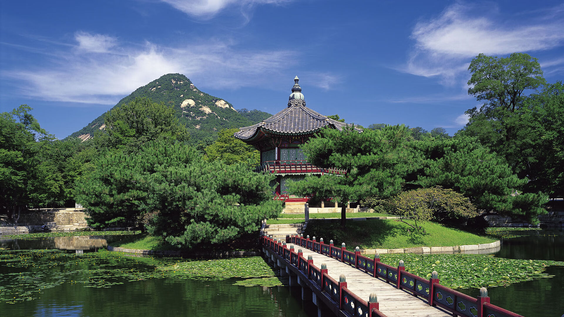 世界保龄球青年联赛线上教学平台与学校系统深度对接,世界保龄球比赛冠军