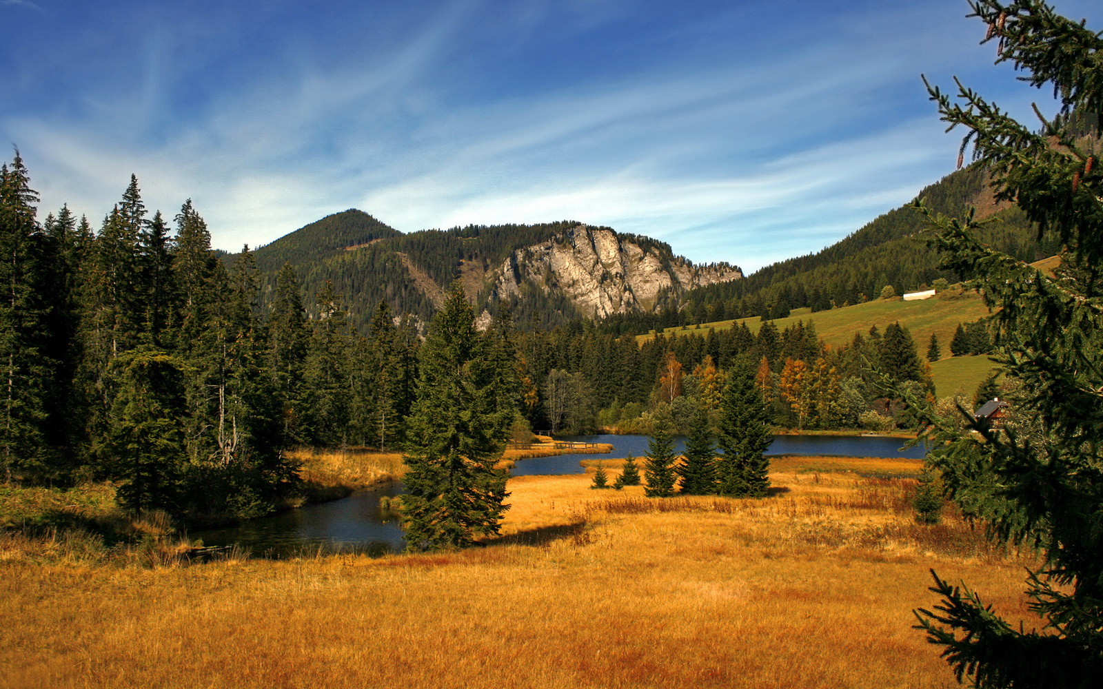 世界滑板街区文化节城市合作与安全方案，滑板街头文化